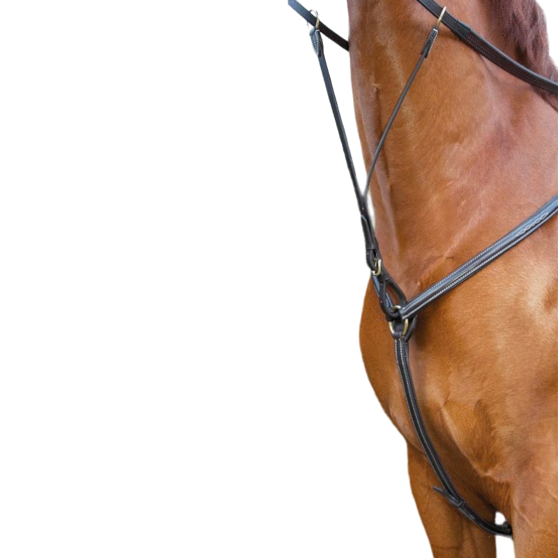 TdeT - Collier de chasse doublé havane foncé | - Ohlala