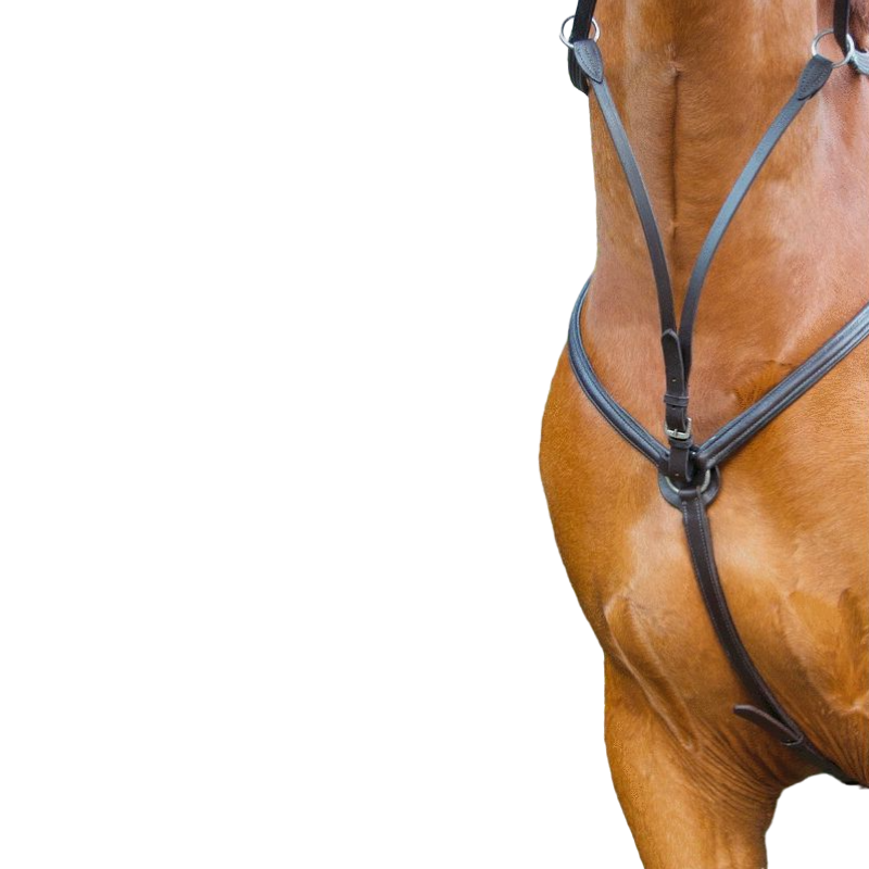 TdeT - Collier de chasse doublé havane foncé | - Ohlala