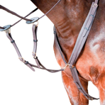 TdeT - Collier de chasse Biotack® marron foncé | - Ohlala