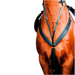 TdeT - Collier de chasse Biotack® noir | - Ohlala