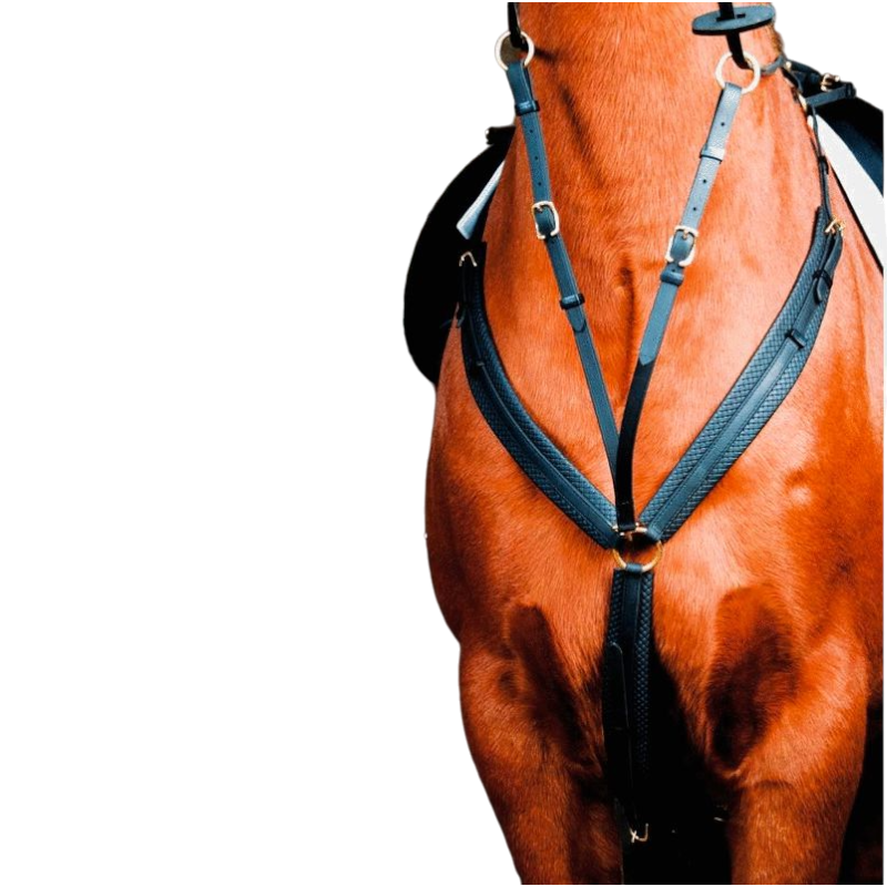 TdeT - Collier de chasse Biotack® noir | - Ohlala