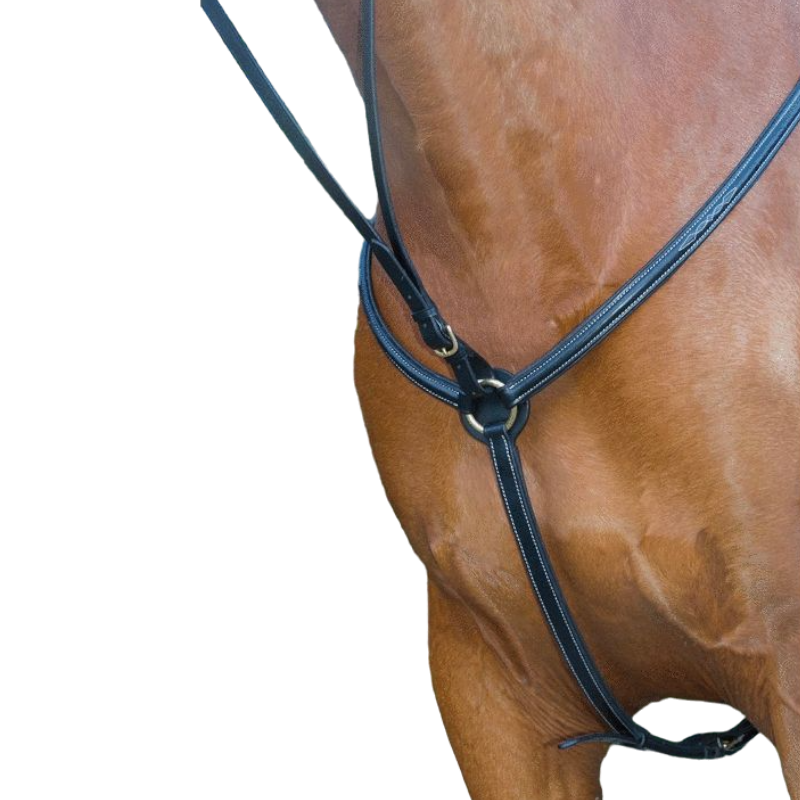 TdeT - Collier de chasse doublé noir | - Ohlala