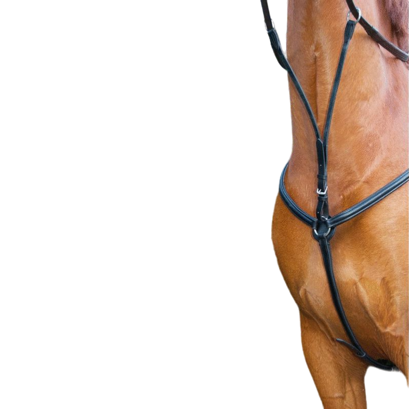 TdeT - Collier de chasse doublé noir | - Ohlala