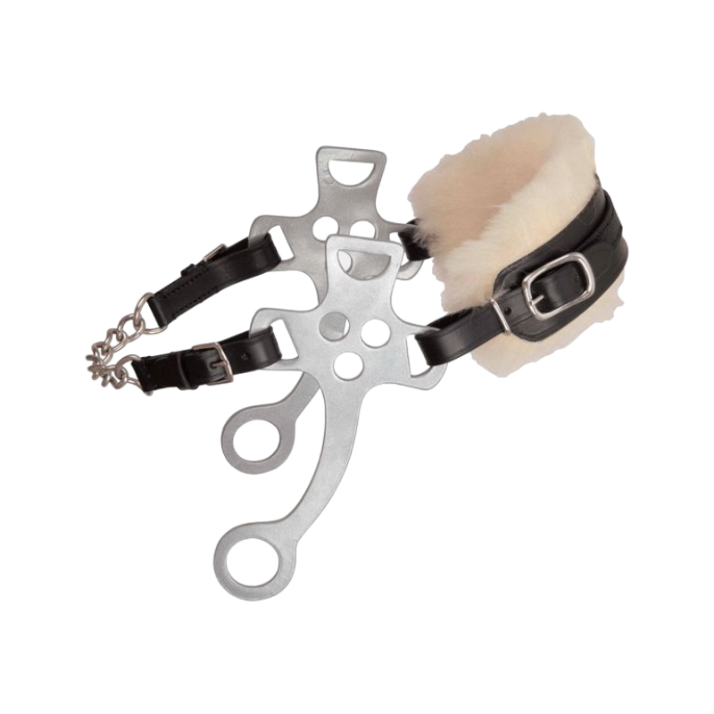 TdeT -  Hackamore noir | - Ohlala