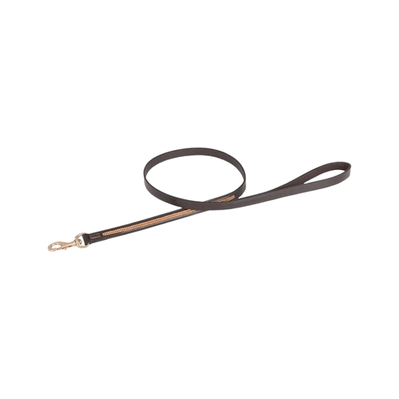 TdeT - Laisse pour chien strass havane foncé/ jaune