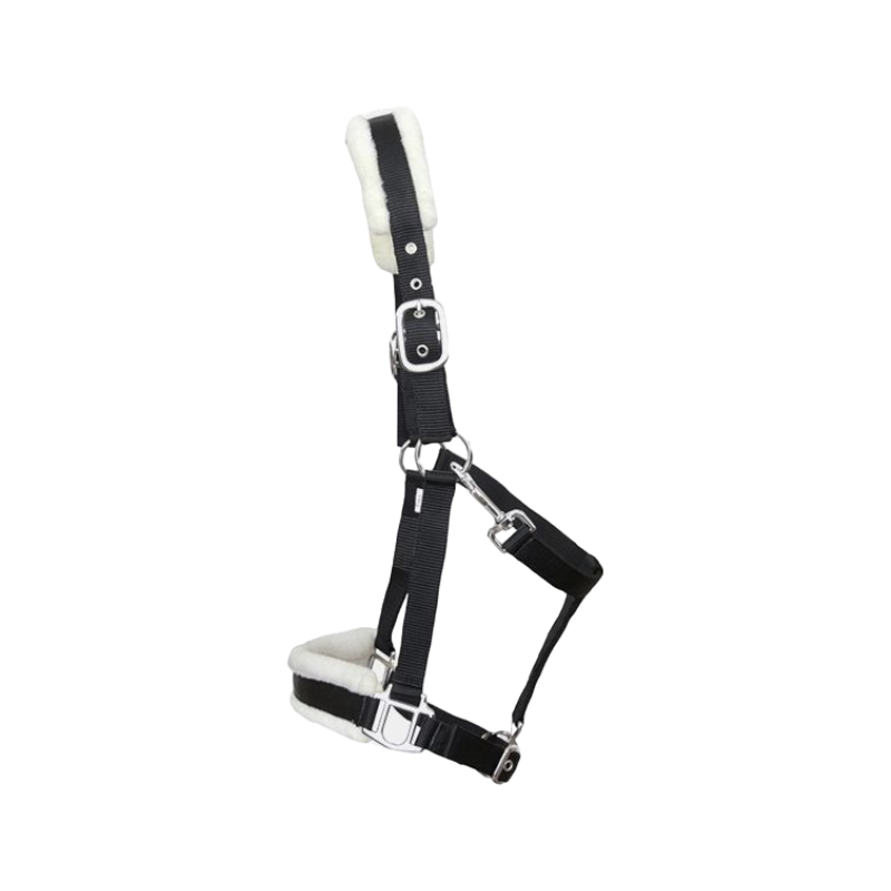 TdeT - Licol nylon et mouton noir/ écru | - Ohlala