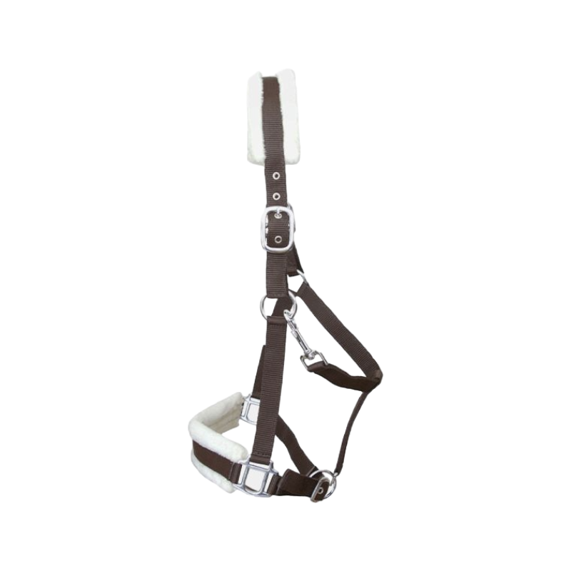 TdeT - Licol nylon et mouton marron | - Ohlala