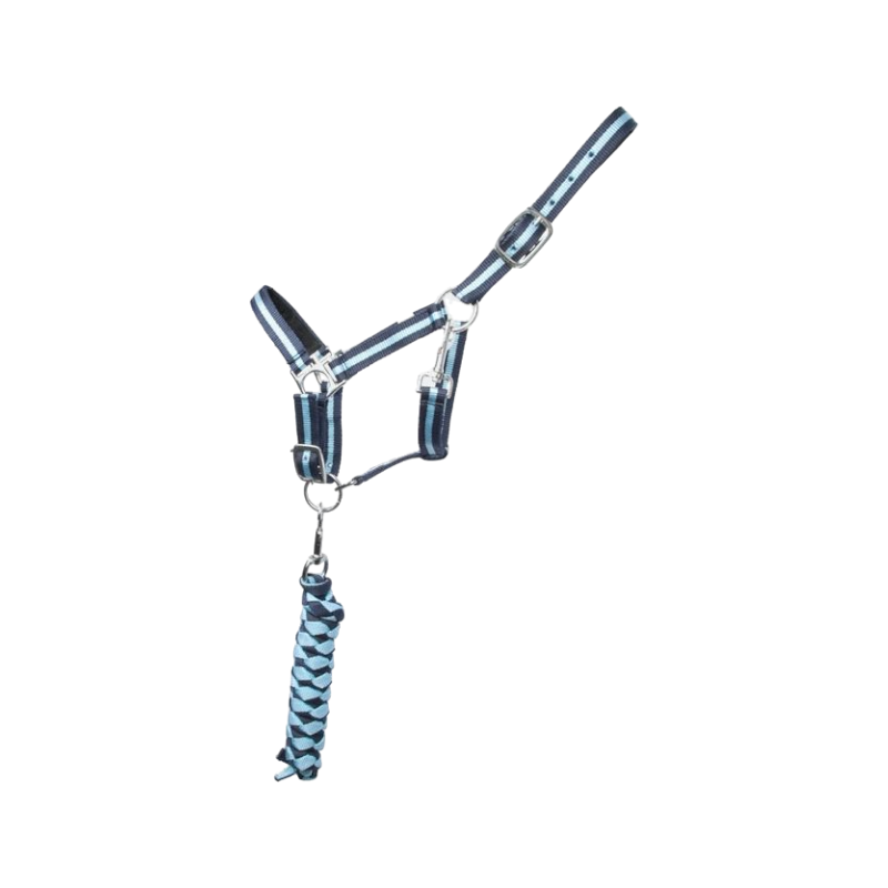 TdeT - Licol synthétique doublé + longe tressée marine/bleu ciel | - Ohlala