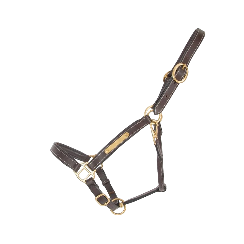TdeT - Licol cuir avec plaque à graver havane foncé | - Ohlala