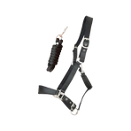 TdeT - Licol Satiné Doublé longe ronde assortie noir | - Ohlala