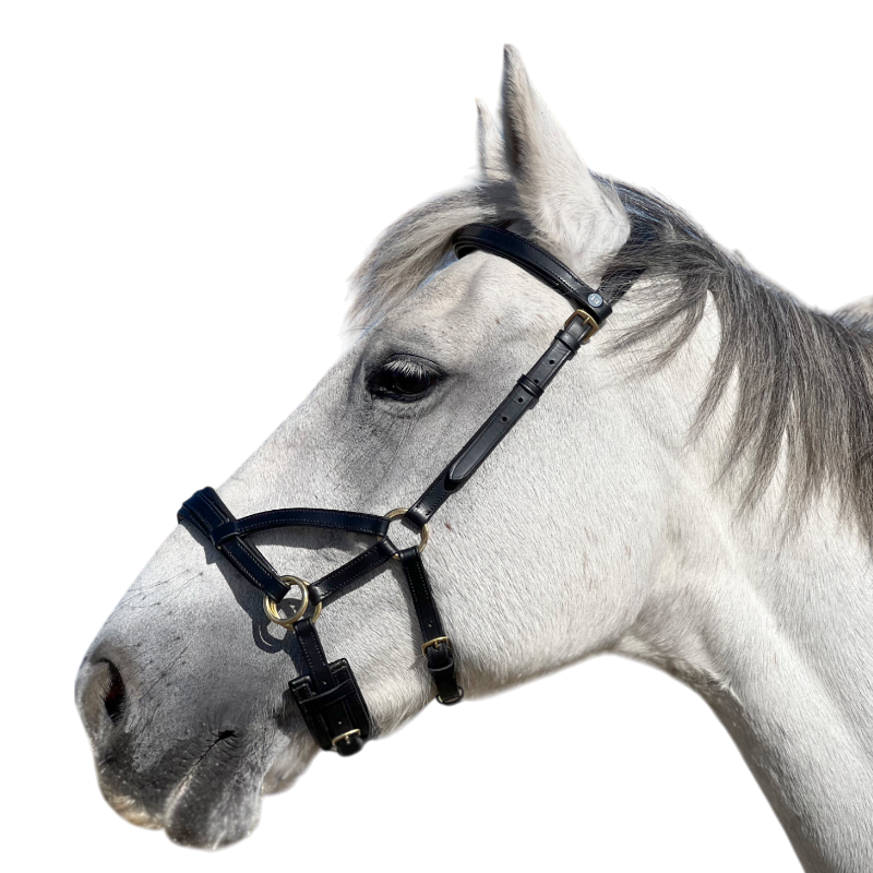 TdeT - Sidepull en cuir No More noir | - Ohlala