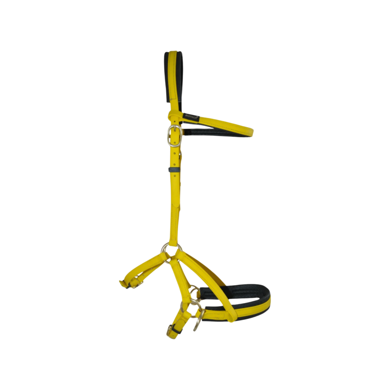 TdeT - Bridon Sidepull Biotack® jaune