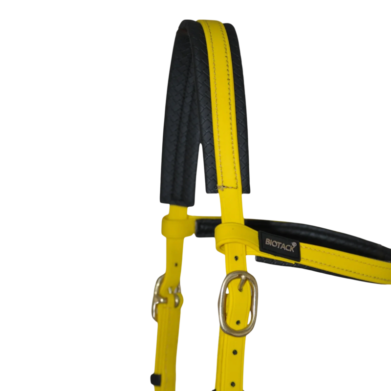TdeT - Bridon Sidepull Biotack® jaune