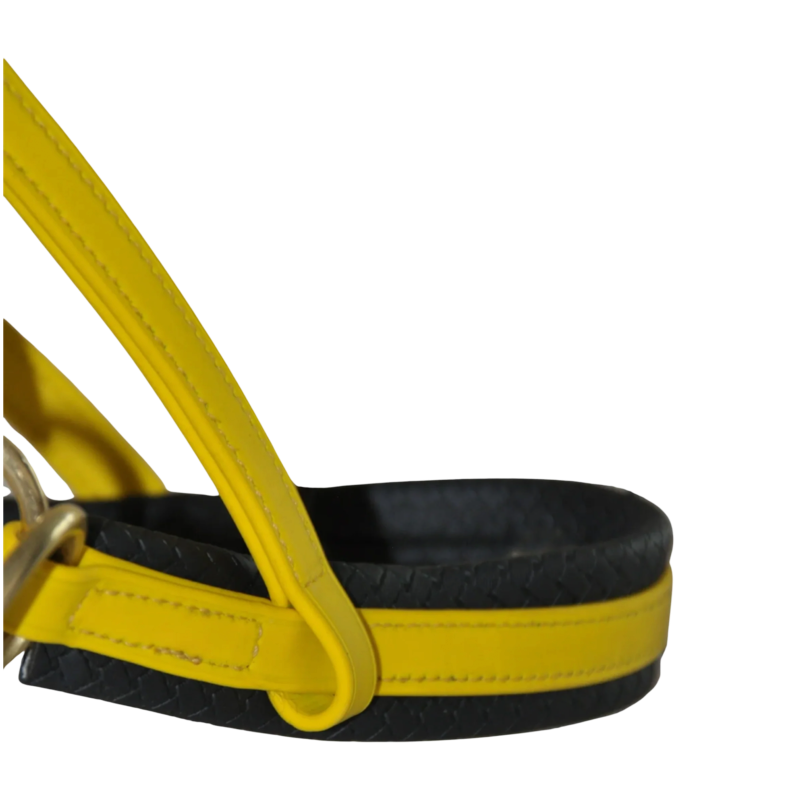 TdeT - Bridon Sidepull Biotack® jaune