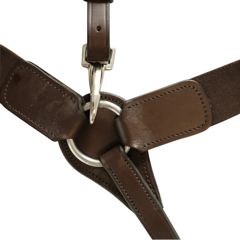 TdeT - Collier de chasse élastique havane foncé