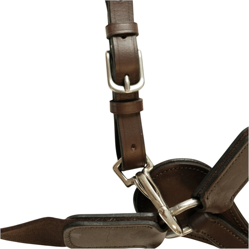 TdeT - Collier de chasse élastique havane foncé