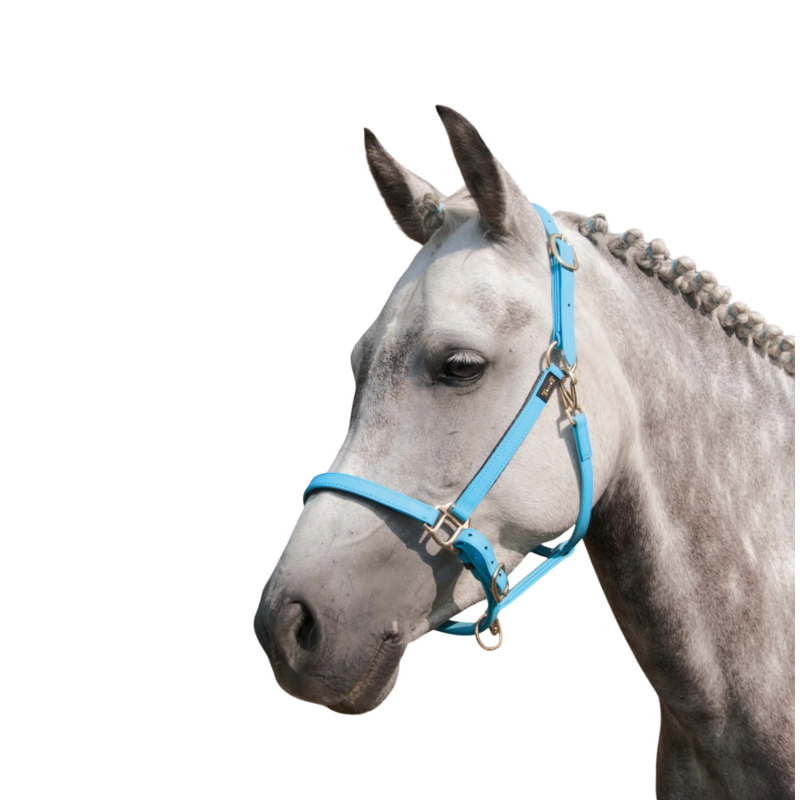 TdeT - Licol Biotack® bleu