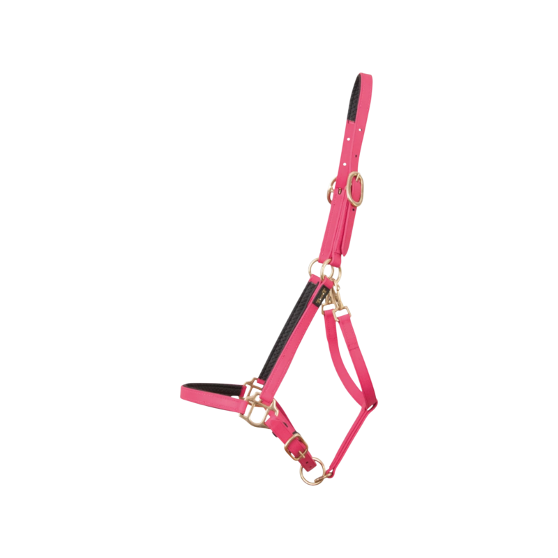 TdeT - Licol Biotack® fuschia