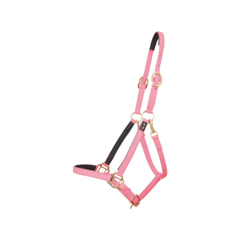 TdeT - Licol Biotack® rose