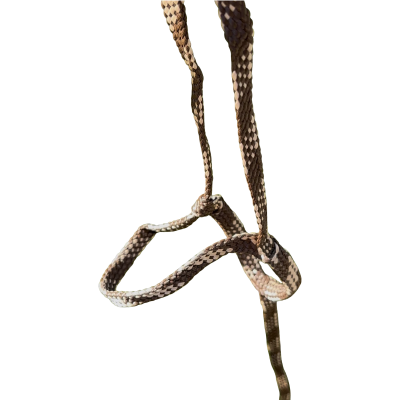 TdeT - Licol de poche/shooting réglable marron/ beige