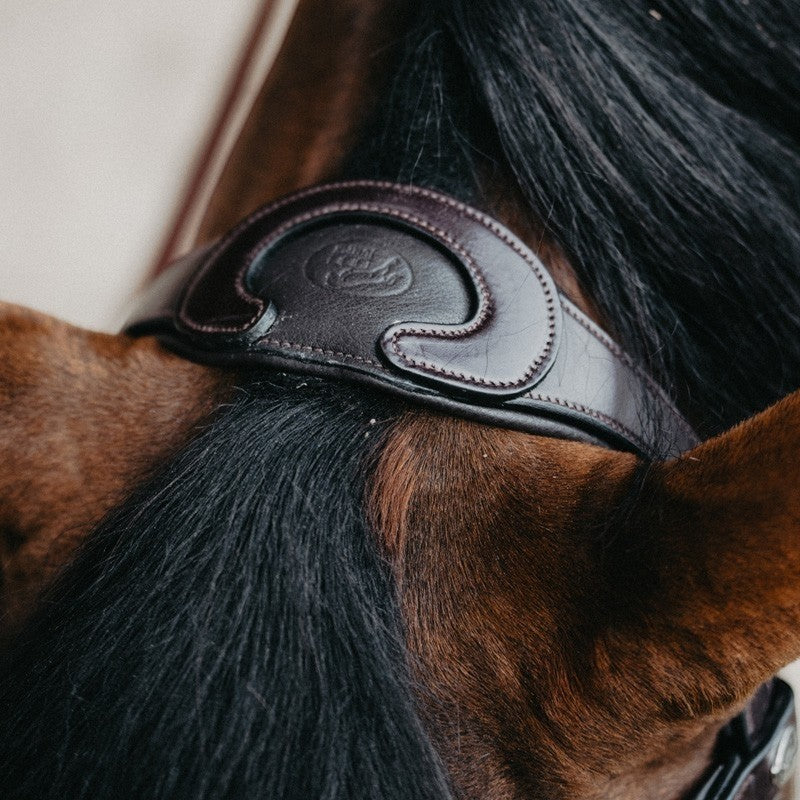 Jump'In - Têtière + rênes Evolution havane