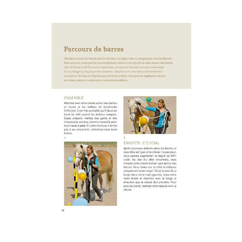 Vigot - Livre 20 Tours de cirque avec votre cheval | - Ohlala