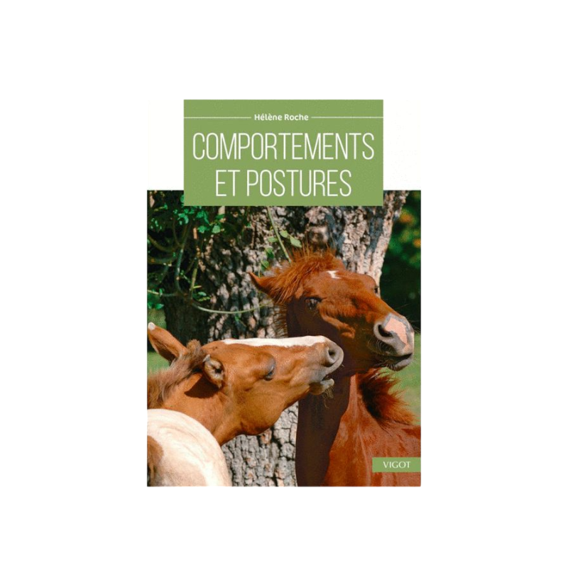 Vigot - Comportements et postures | - Ohlala