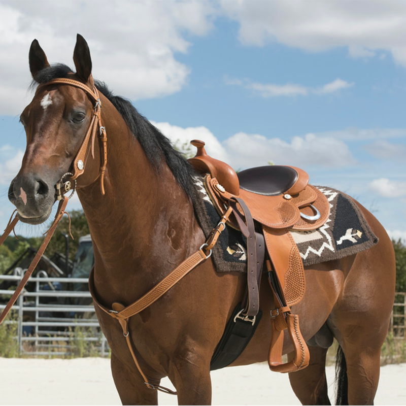 Westride - Selle western by Franck Perret Aurora noisette | - Ohlala