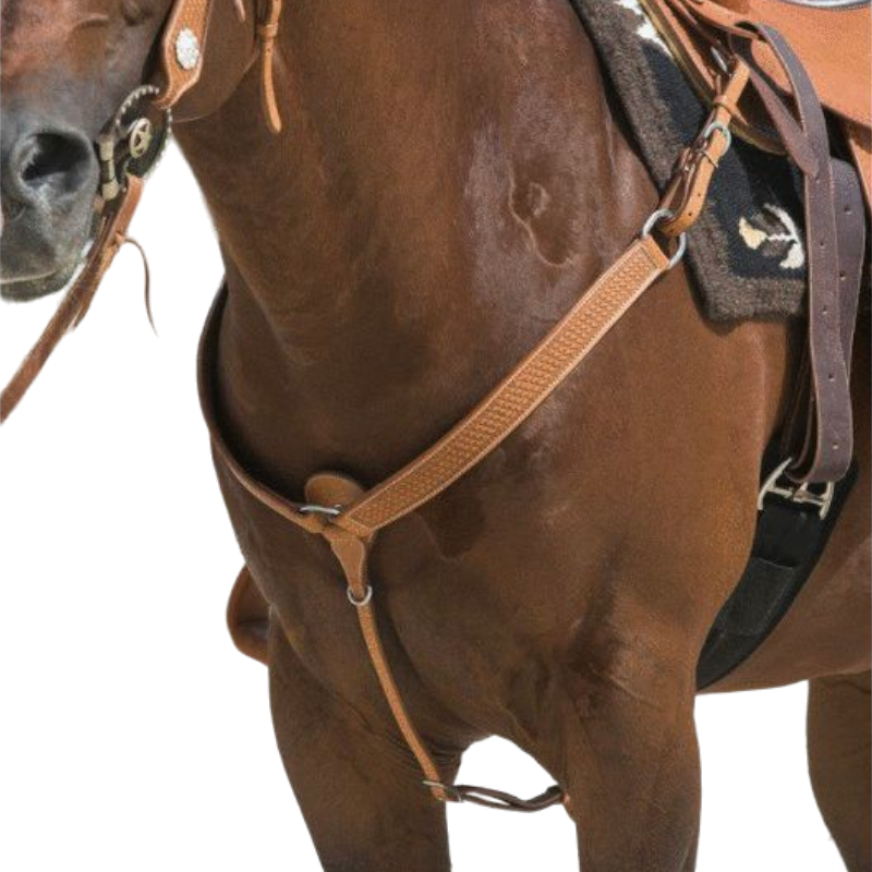 Westride - Collier de chasse Billy noisette | - Ohlala