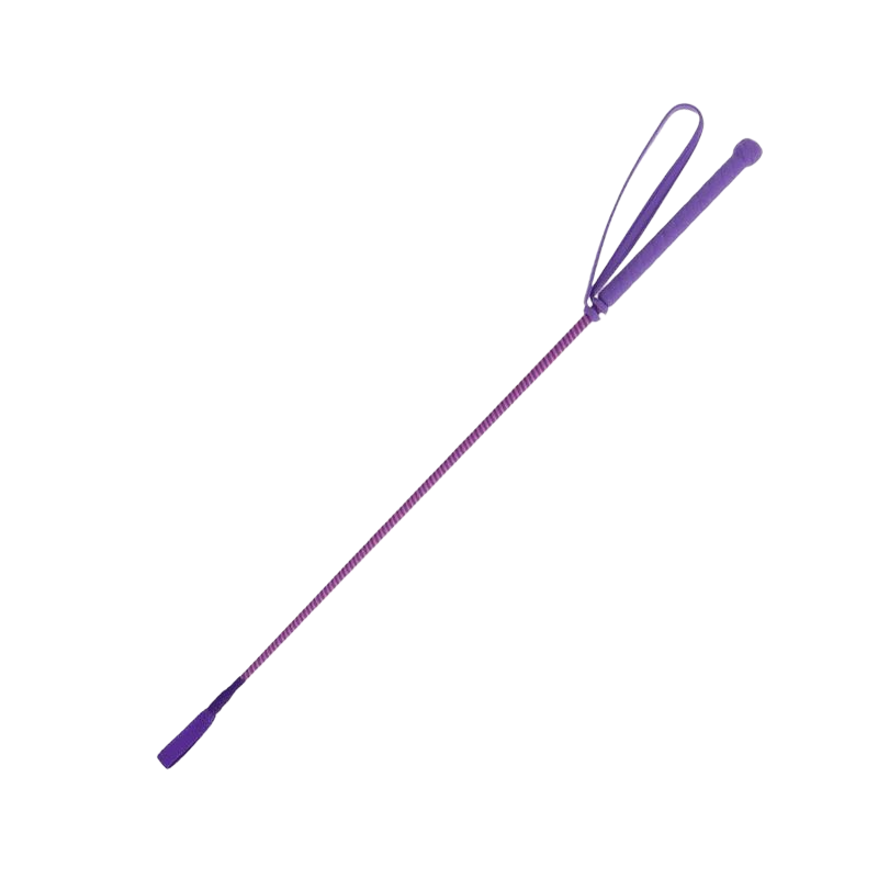 Whip & Go - Cravache New Six violet/rose