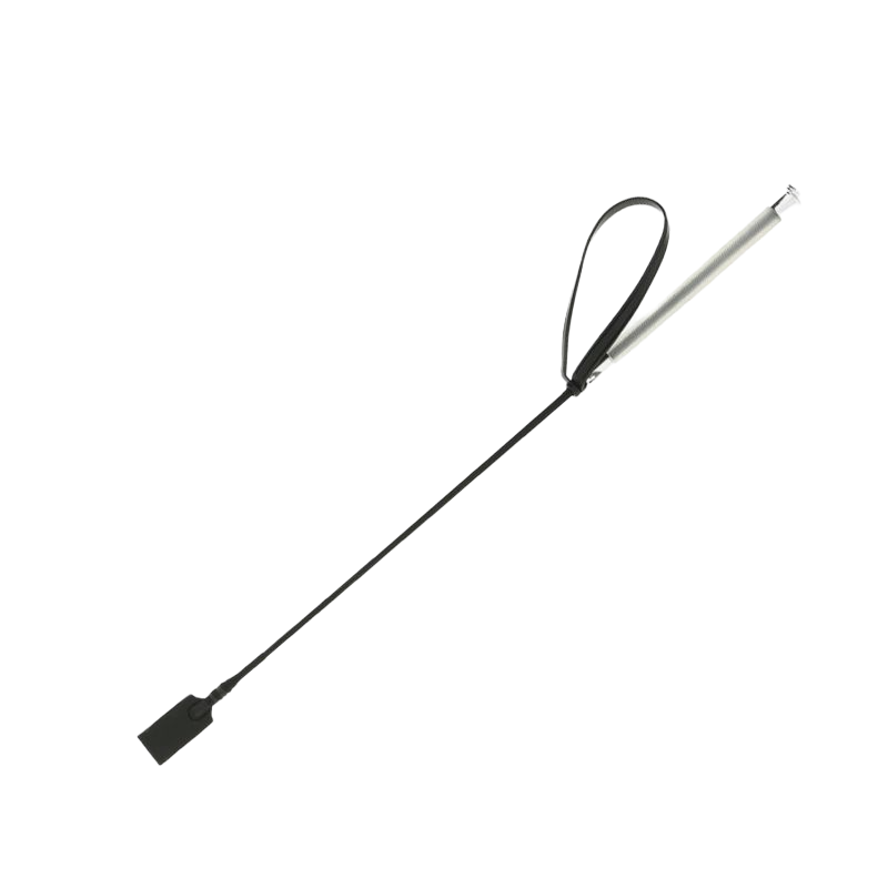 Whip&Go - Cravache gel