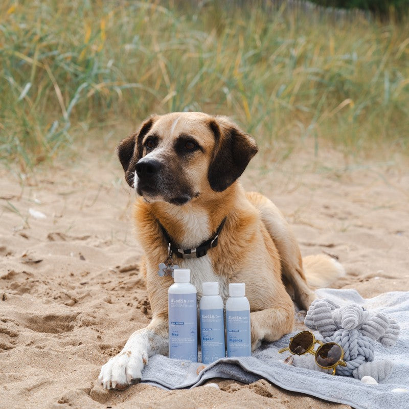 Alodis Care - Shampoing pour chien beauté et brillance du poil Cani Soap | - Ohlala