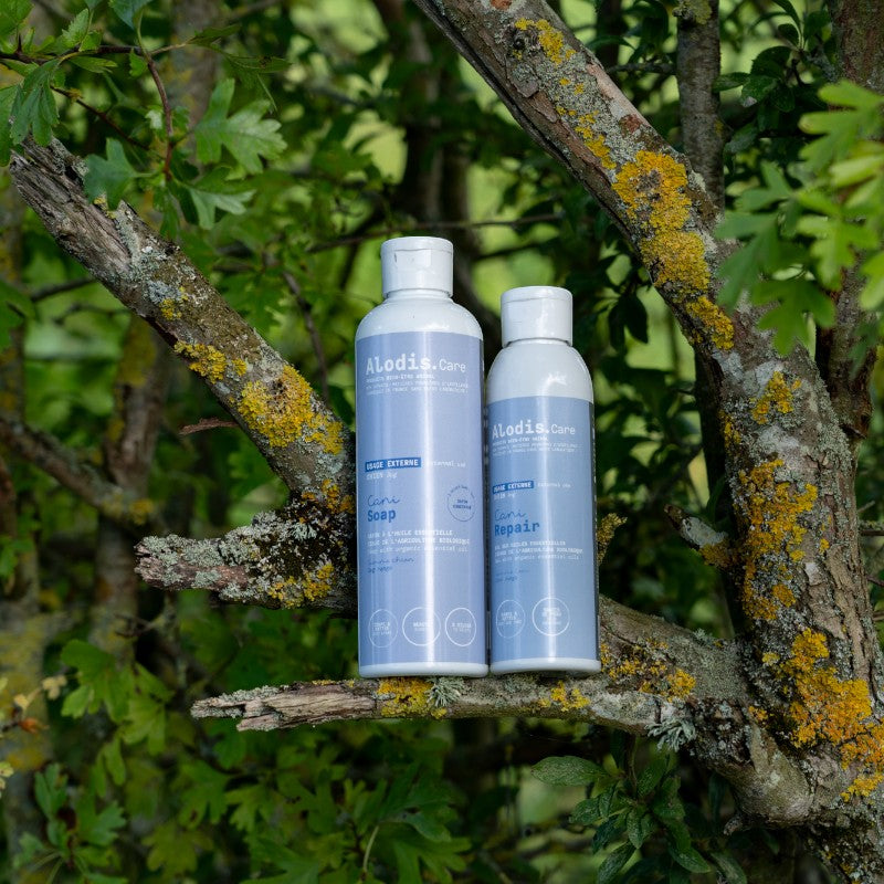 Alodis Care - Shampoing pour chien beauté et brillance du poil Cani Soap | - Ohlala
