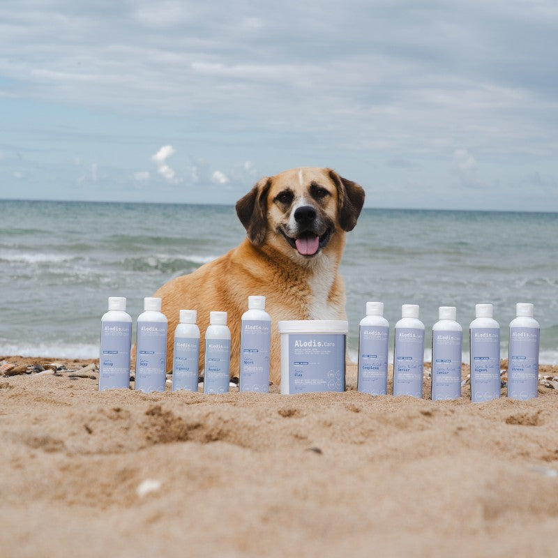Alodis Care - Shampoing pour chien beauté et brillance du poil Cani Soap | - Ohlala