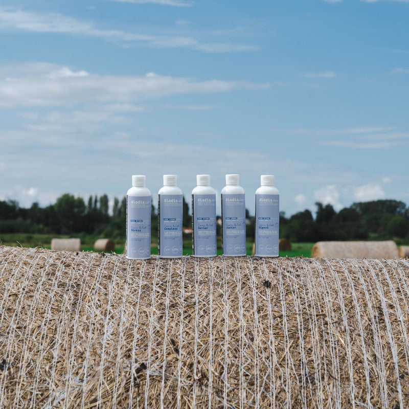Alodis Care - Baume Cani & Cat Stress pour chien et chat | - Ohlala