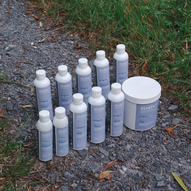 Alodis Care - Shampoing pour chien beauté et brillance du poil Cani Soap | - Ohlala