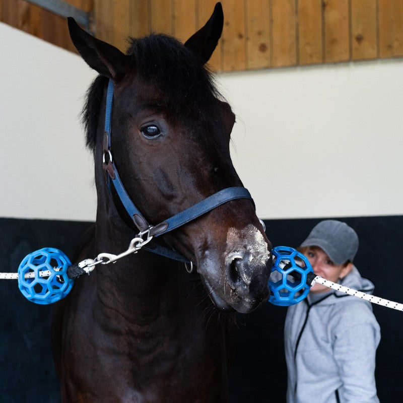 Alodis Care - Tendi Flash Argile récupération sportive | - Ohlala