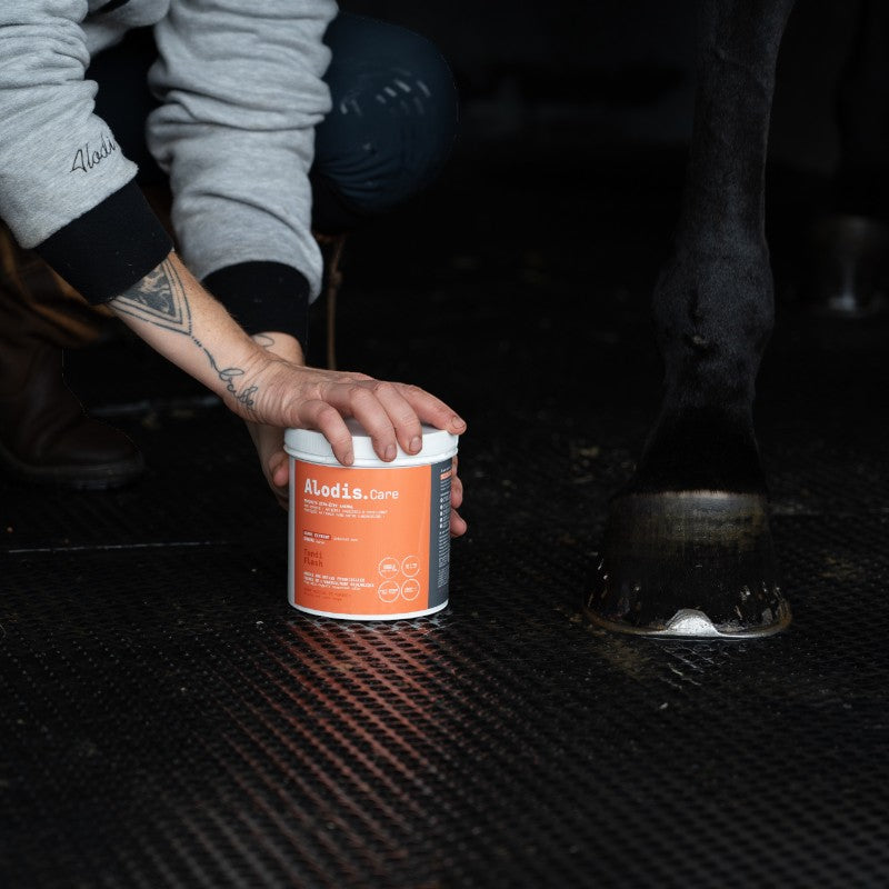 Alodis Care - Tendi Flash Argile récupération sportive | - Ohlala