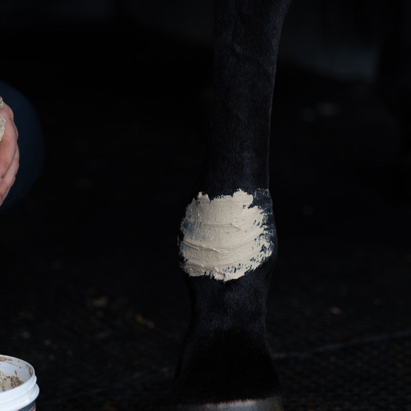 Alodis Care - Tendi Flash Argile récupération sportive | - Ohlala