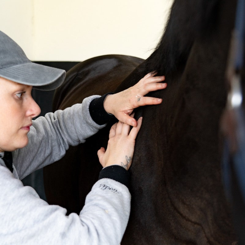 Alodis Care - Huile massante Work Recup après effort | - Ohlala