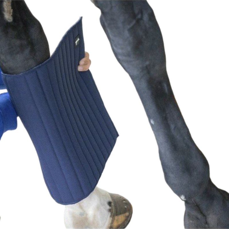 Pénélope - Sous-bandage Soft antérieurs marine (x2) | - Ohlala