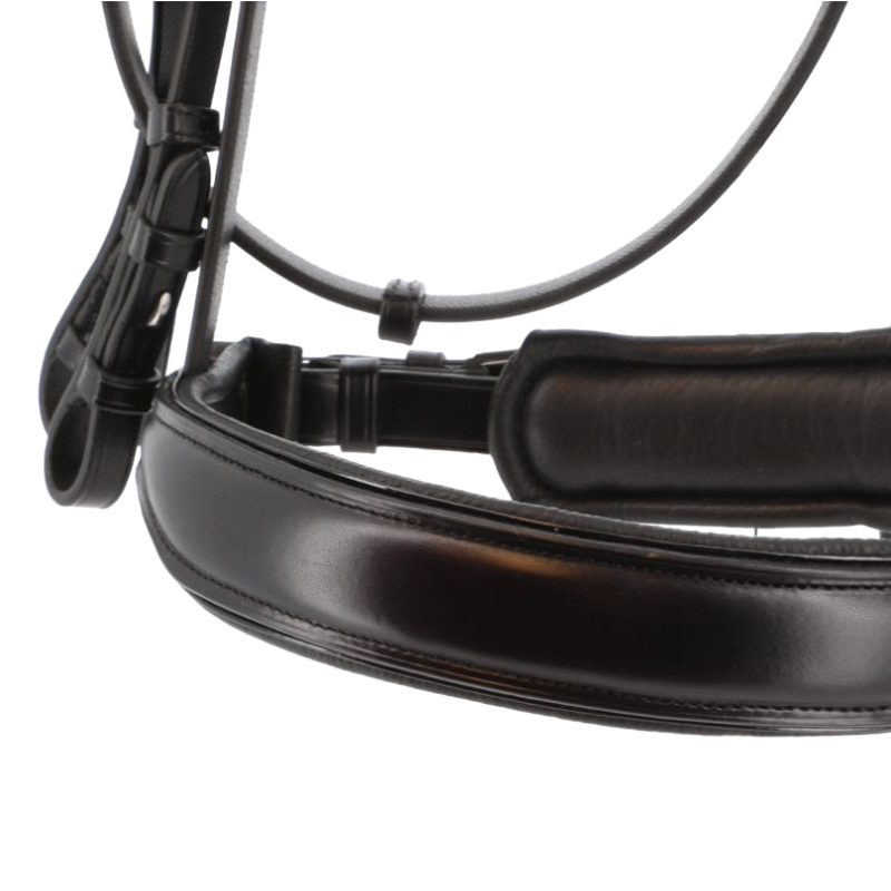 Eric Thomas - Bride pour chevaux Elite | - Ohlala