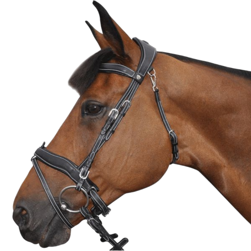 Bride Western En Nylon Lourd Noir Pour Cheval/poney - Motif Sud-Ouest, Comprend Les Rênes (pas Sur Photo) - Neuf