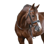 Pénélope - Bridon daily noir | - Ohlala