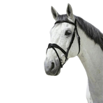 Norton - Pro Vague hoofdstel zwart | - Ohlala