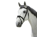 Norton - Pro Vague hoofdstel zwart | - Ohlala