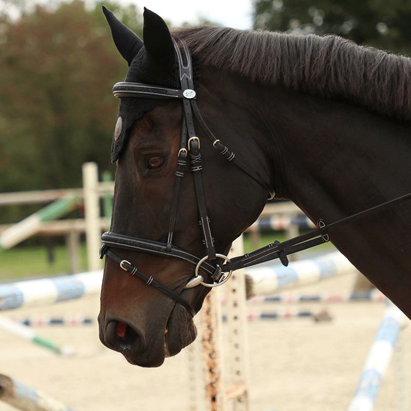 Jump'In - Hoofdstel Week Crystal met Teugels Zwart | - Ohlala
