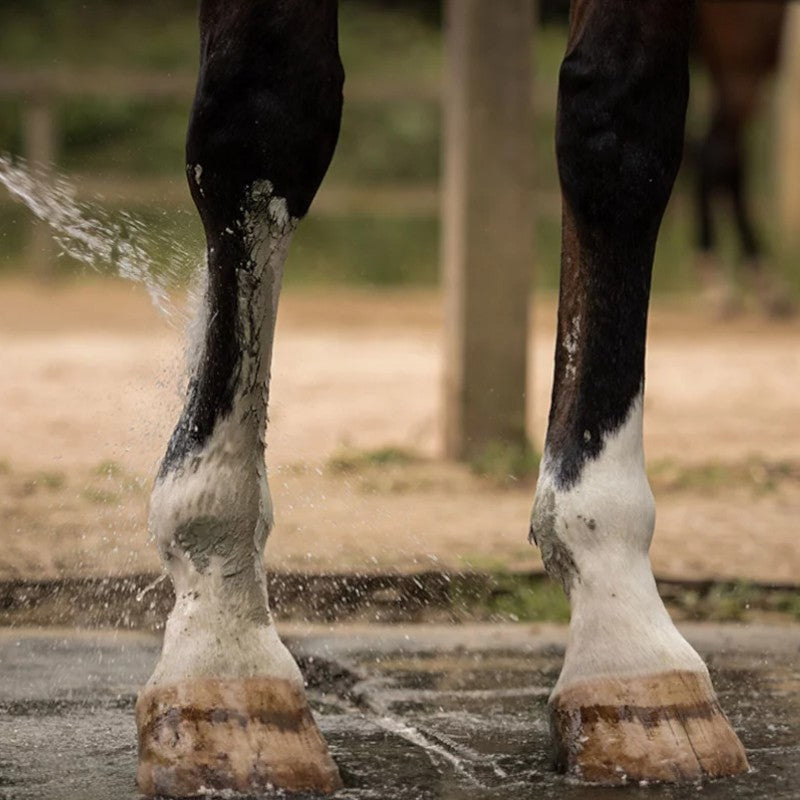 Nellumbo - Cataplasme d'argile douleurs musculaires & articulaires | - Ohlala