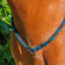 TdeT - Touwnekriem met ring zwart/turquoise | - Ohlala