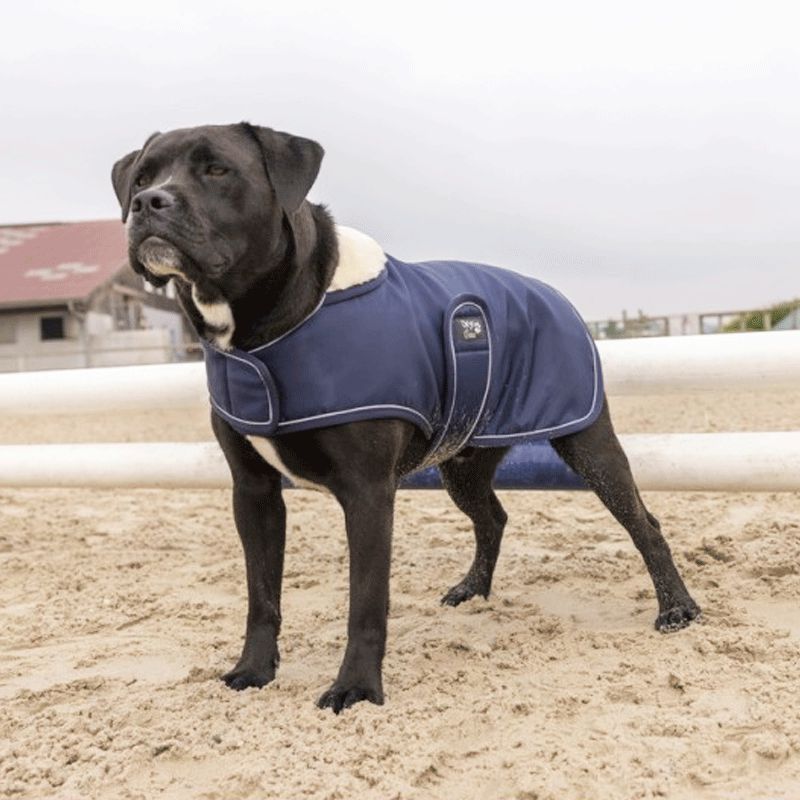 Diego & Louna - Couverture pour chien nylon marine